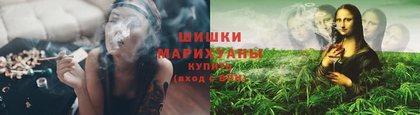 крисы Киренск
