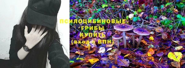 стафф Киреевск