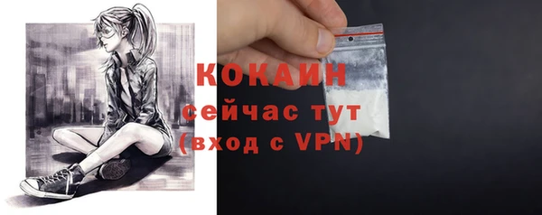 крисы Киренск