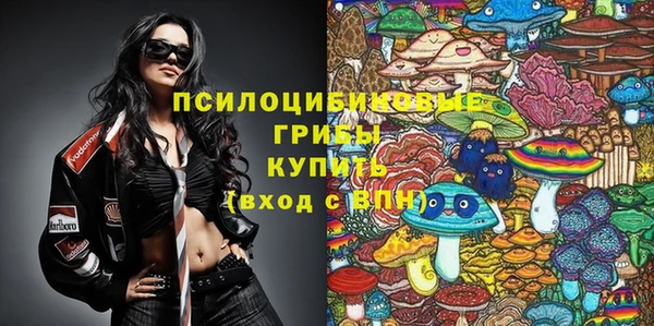 крисы Киренск
