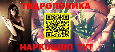 гашик Абакан