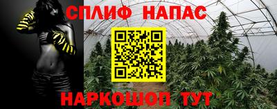 гашик Абакан