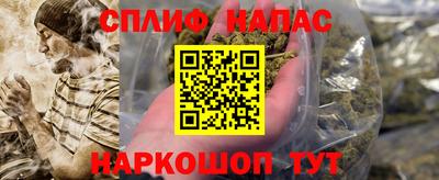прущие грибы Абинск