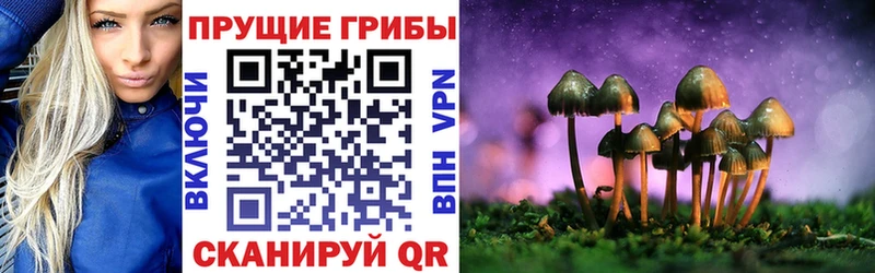 Галлюциногенные грибы ЛСД  Подольск 