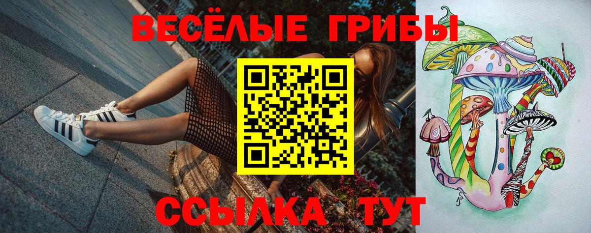 Подольск  Галлюциногенные грибы мухоморы  Вход с VPN 