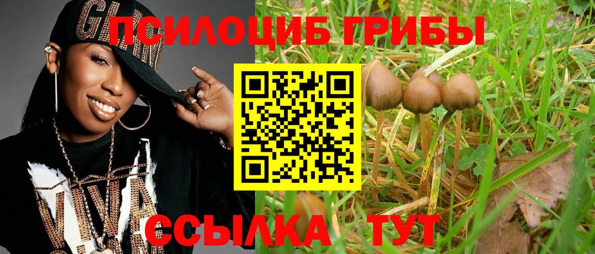 Подольск  Псилоцибиновые грибы GOLDEN TEACHER  Вход с VPN 