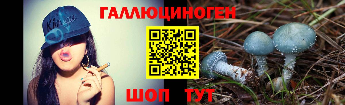 Галлюциногенные грибы Magic Shrooms Подольск